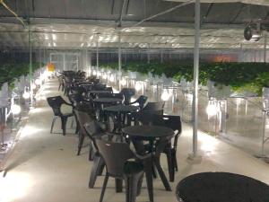 BAMBOO RESORT MIHAMA　繋餐厅或其他用餐的地方