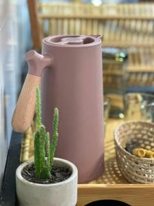 un cactus en una olla sobre una mesa con una lata de agua en Charmoso Apartamento em Maragogi, en Maragogi