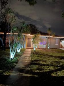a row of palm trees with lights in front of a house at Crest Lake Beach House in Clearwater