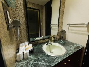 a bathroom with a sink and a mirror at GLAMROSE -Adult Only- in Gotemba