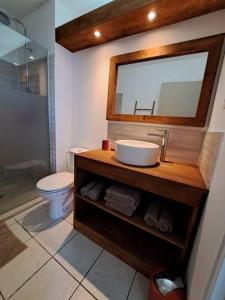 a bathroom with a sink and a toilet and a mirror at Appartement vue mer, résidence avec piscine à Tartane in La Trinité