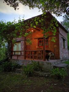 a log cabin with a dog standing in front of it at Chalet de montaña cerca de Nono in Las Rabonas