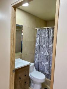 a bathroom with a toilet and a shower curtain at Cabaña Loncoche / Villarrica in Loncoche