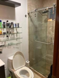 y baño con aseo y ducha acristalada. en COZY 2Br 2Ba Apartment w/grill Terrace & Parking, en Ciudad de México