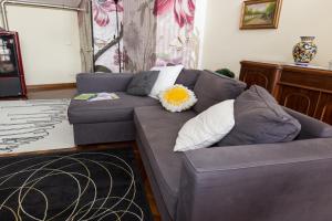 a living room with a gray couch with a pillow at Patrian in Grottaferrata