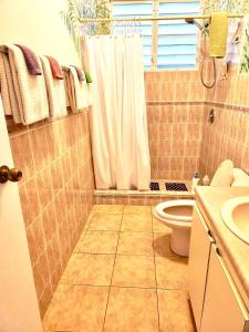 La salle de bains est pourvue d'un rideau de douche et de toilettes. dans l'établissement Tranquility by the Sea, à Vieques