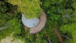 李肯雷的住宿－Domos Ngen Mawida de Licanray，森林中木人行道的顶部景色