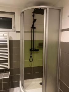 W łazience znajduje się prysznic ze szklanymi drzwiami. w obiekcie Chata s panoramatickou saunou w mieście Chyše