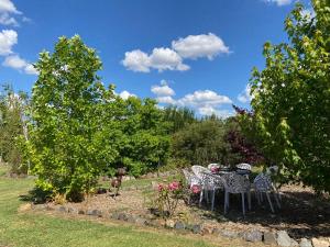 Giardino di Pull Up Stumps