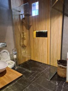 a bathroom with a shower and a toilet at Metavilla in Kemer