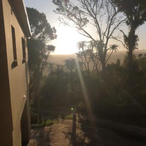 vista su una strada con palme e sole di Granny Cottage a Kenton