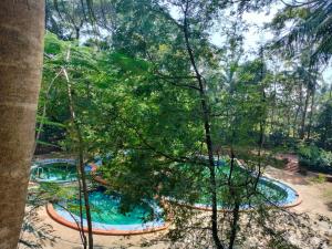 a pool in the middle of a park with trees at Advaitha Serenity Resorts in Kālvādi
