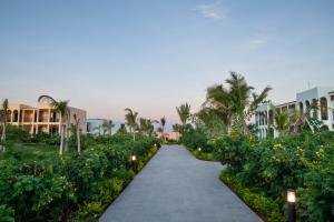 Jardí fora de The Mora Zanzibar - Luxury All Inclusive