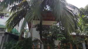 a palm tree in front of a building at chamika house in Matara