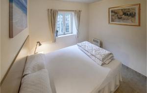 a bedroom with a white bed and a window at Amazing Home In Bannalec With Kitchenette in Bannalec