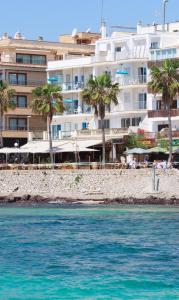 um edifício numa praia com palmeiras e água em Arcadia em Cala Millor