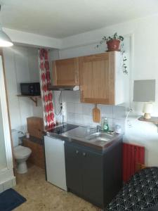 a small kitchen with a sink and a toilet at Cap Dauphiné in Grenoble