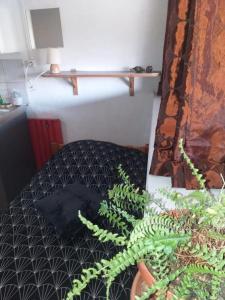 a room with a bed with a plant and a shelf at Cap Dauphiné in Grenoble