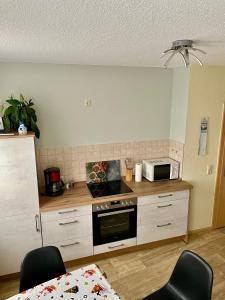 a kitchen with a counter with a stove and a microwave at Ferienwohnung im Zentrum von Sonneberg in Sonneberg