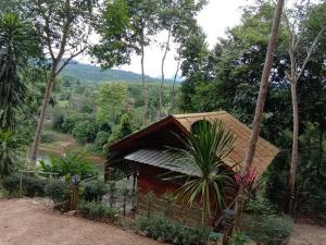 una pequeña casa en medio de un bosque en ภูริรักษ์ โฮมสเตย์, en Ban Pha Saeng Lang