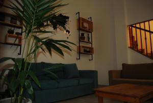 a living room with a blue couch and a plant at Pura Vida Concordia in Concordia