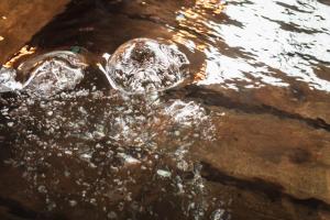 a bottle in the water in auddle of water at Tsuta Onsen Ryokan in Towada