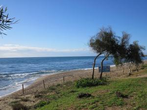 a beach with a tree and the ocean at Villa Costa Marbella in Marbella