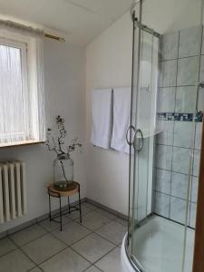 a bathroom with a shower and a plant on a table at Pension Waldschloß in Holzminden