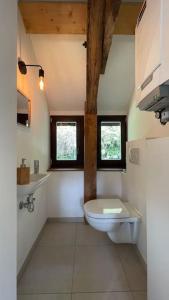 een badkamer met een toilet en 2 ramen bij Le Belle-Vue in La-Roche-en-Ardenne
