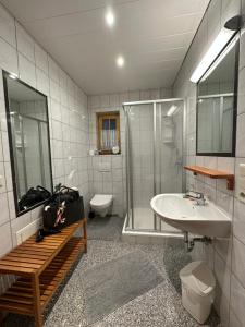 W łazience znajduje się umywalka, prysznic i toaleta. w obiekcie Apart Spitaler Brandberg w mieście Brandberg