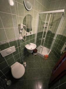 een badkamer met een wastafel, een toilet en een spiegel bij Penzion Erika in Boží Dar