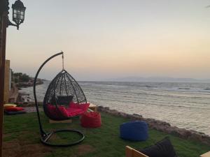 a swing sitting on the grass next to the ocean at Jimmy Hotel in Dahab