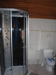 a bathroom with a shower and a toilet at La Poussardiere in Saint-Martin-sous-Mouzeuil