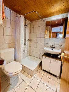Koupelna v ubytování Cosy appartment 10 min from Gstaad with stunning view