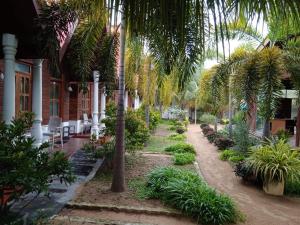 einen Garten mit Palmen und Pflanzen vor einem Haus in der Unterkunft Elegant Green Beach Resort in Trincomalee