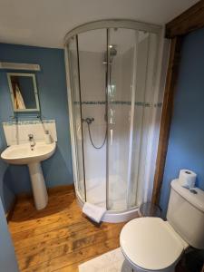 uma casa de banho com um chuveiro, um WC e um lavatório. em Cabin in the Forest em Brockenhurst