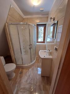 een badkamer met een douche, een toilet en een wastafel bij Dworek na skraju lasu in Kościelisko