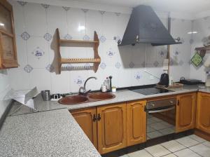 cocina con fregadero y fogones en Rustic mountain view apartment, en Cogollos De La Vega