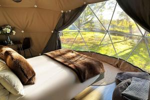 a bed in a tent with a large window at Luna Domes in Chiddingstone