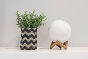 a black and white vase and a plant on a shelf at Athenian center apartments in Athens