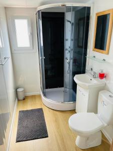 La salle de bains est pourvue d'une douche, de toilettes et d'un lavabo. dans l'établissement Domček pod orechom, à Krásnohorské Podhradie