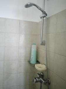 a shower in a bathroom with a sink and a shower head at Appartamento Primo Sole in Primaluna