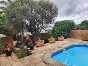 Cape Town的住宿－Little Greece，一座种植了盆栽植物的院子内的游泳池