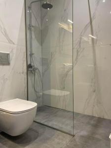 uma casa de banho com um WC e uma cabina de duche em vidro. em October Luxury Apartments em Ioannina