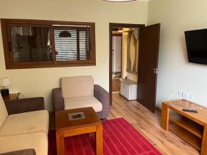 A television and/or entertainment centre at Ski Zone at Gondola, Perfect One Bdrm, Fast WiFi, Netflix, Quiet, Warm