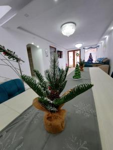 a christmas tree on a table in a room at Maria's Dream House in Zărneşti