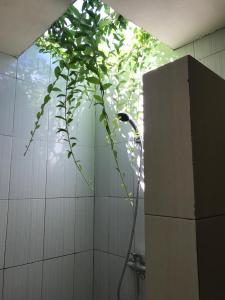 La salle de bains est pourvue d'une douche et d'une plante. dans l'établissement Tambun Sari Beach Homestay, à Amed