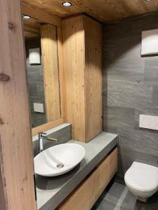La salle de bains est pourvue d'un lavabo et de toilettes. dans l'établissement Davos, Residenz Meierhof, Chasa Hubertus, à Davos