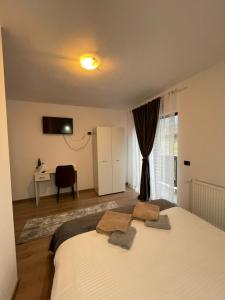 a bedroom with a bed with a desk and a television at Vila Hojda in Moisei