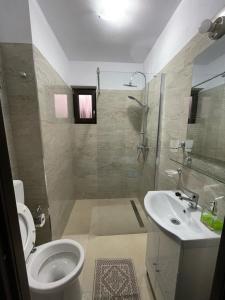 y baño con aseo, lavabo y ducha. en Vila Hojda, en Moisei
